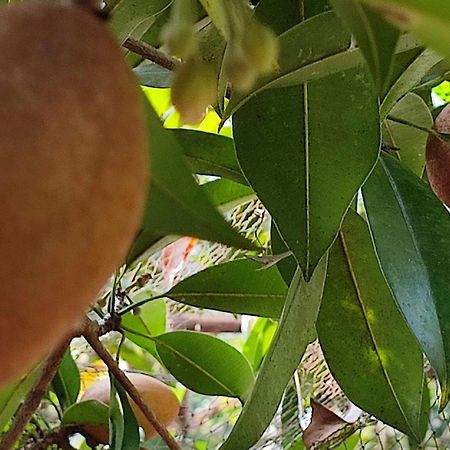 Vivaresidence Homestay Alappuzha Extérieur photo