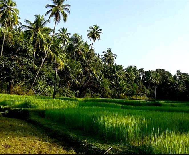 Vivaresidence Homestay Alappuzha Extérieur photo